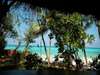Pongwe Beach Hotel - View 